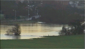 The River Wid at Writtle Village in Essex